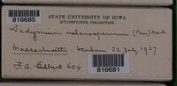 Image Associated With the Occurence